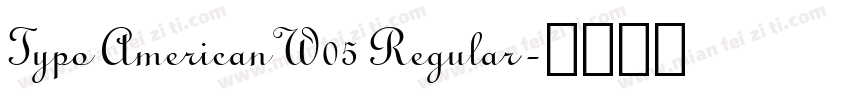 Typo American W05 Regular字体转换